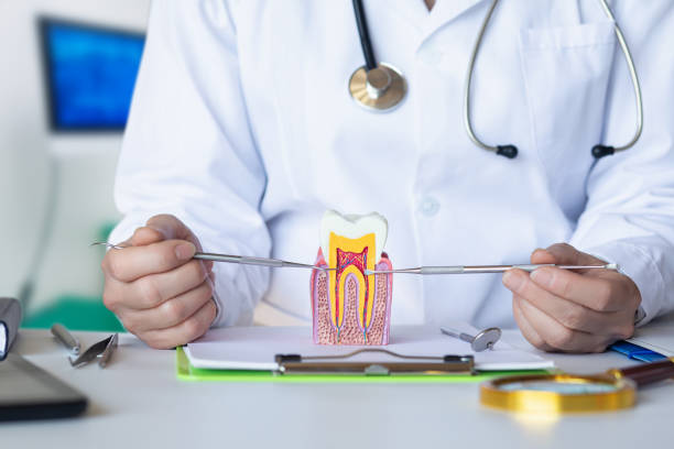 Best Emergency Dentist for Lost Fillings or Crowns in Meadow Vista, CA